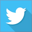 twitter logo link
